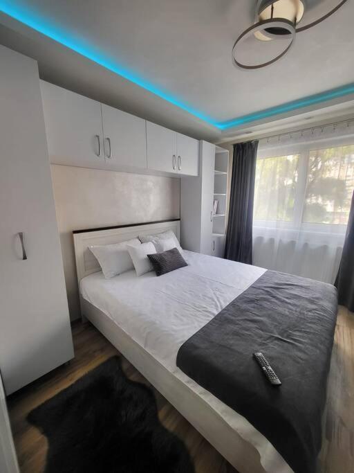 Stylish Apartment In Dambu Târgu-Mureş Εξωτερικό φωτογραφία